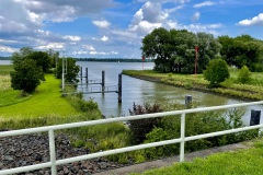 IMG_E7429