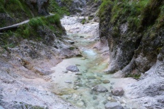 P1040312