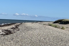 IMG_2849