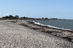 IMG_2850