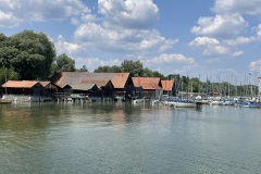IMG_6667