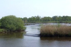 IMG_1213