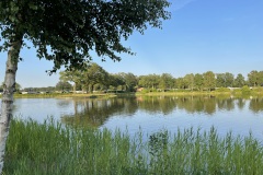 IMG_6998