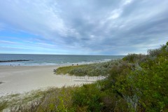 IMG_4717