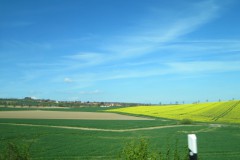 IMG_4298