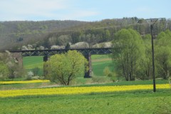 IMG_4306