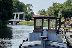IMG_8501