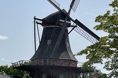 IMG_8510