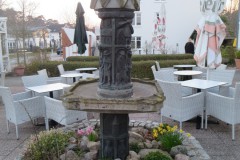 IMG_6153