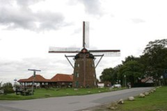 IGM_1014