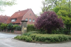IMG_8507