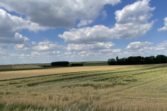 IMG_6940