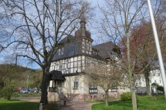 IMG_0559