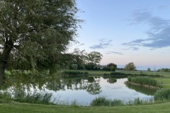 IMG_0959
