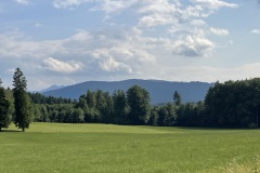 IMG_6460