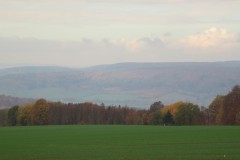 IMG_5818