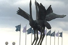 IMG_2657