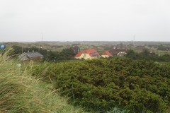 IMG_0970