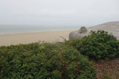 IMG_4523