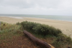 IMG_4524