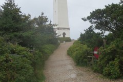 IMG_4531