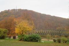 IMG_5627