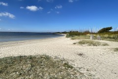 IMG_0773