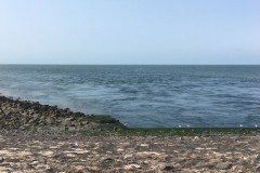 IMG_9720