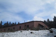 IMG_4421
