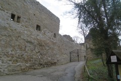 IMG_4537