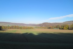 IMG_5678