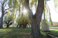 IMG_5680