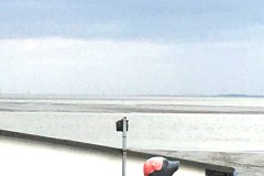 IMG_3498