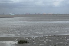 IMG_3522