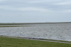 IMG_3741