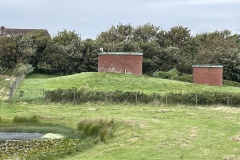 IMG_3751