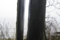 image008