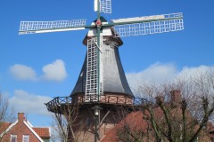 IMG_6106