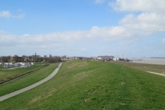 IMG_6074