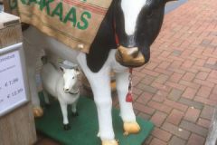 image011
