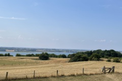 IMG_9521