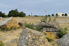 IMG_9523