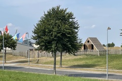 IMG_9536