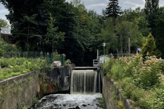 IMG_3605