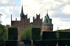 IMG_0203