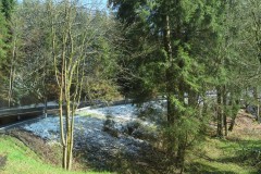 IMG_4512