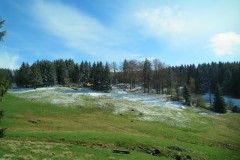 IMG_4514