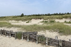 IMG_3555