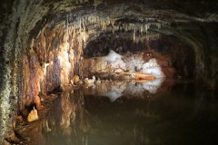 IMG_4710