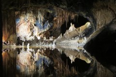 IMG_4727